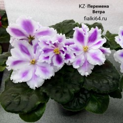 KZ-Перемена Ветра (Заикина)